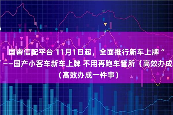 国睿信配平台 11月1日起，全面推行新车上牌“一件事”——国产小客车新车上牌 不用再跑车管所（高效办成一件事）