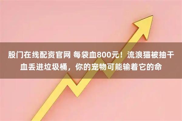 股门在线配资官网 每袋血800元！流浪猫被抽干血丢进垃圾桶，你的宠物可能输着它的命