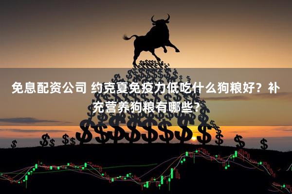 免息配资公司 约克夏免疫力低吃什么狗粮好？补充营养狗粮有哪些？